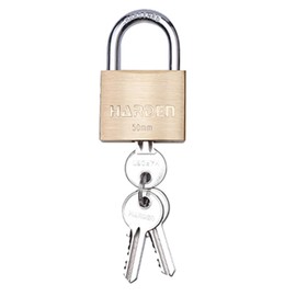 Edward Tools Harden 40mm Solid Brass Padlock with 3 Keys – Hardened Steel Shackle – Rustproof and Waterproof Lock for Cabinet Doors, Windows, Lockers