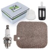 partszen Air Filter BG55 for STHIL SH85 BG45 BG46 BG65