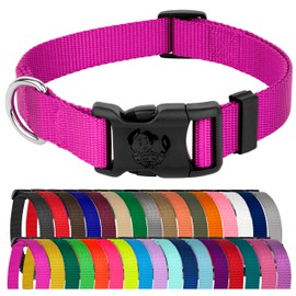 Country Brook Petz – 25+ colores vibrantes – Collar de perro de nailon de lujo hecho en Estados Unidos con hebilla (grande, 2,5 cm de ancho, fucsia)