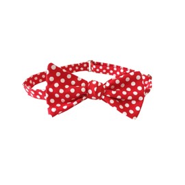 Holiday Bow Ties Mens Self-tie Bow Tie in Classic Polka Dots, Mens, Red (Mens, Red)