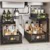 Corbyles 2 Pack Under Sink Organizer With Next-Gen Ball-Bearing Slides,2-Tier