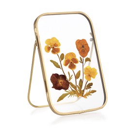 OGANAZI 4x6 Inch Double Glass Pressed Flower Frame - Golden Floating Frames for Dried Flowers, Art, Photos | Vintage Pressed Flower Frame Tabletop Display Holder for Home Plant Specimen (Oblong Shape)