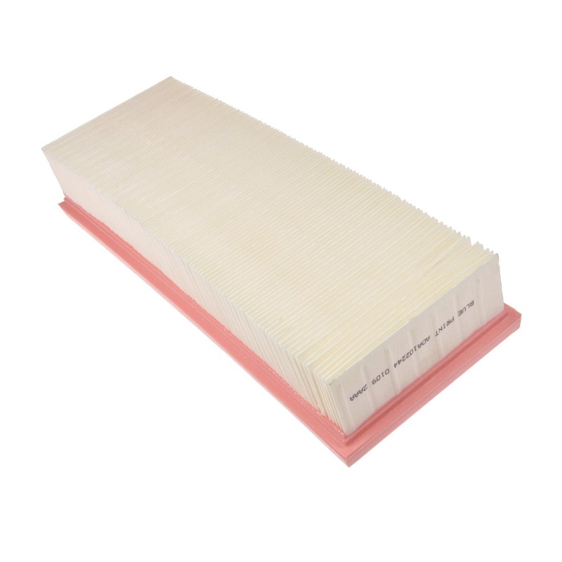 Blue Print ADA102244 Air Filter, Pack of 1