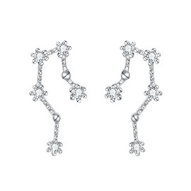 BriLove 925 Sterling Silver Ear Crawler Post Earrings Aquarius 12 Zodiac Constellation Horoscope Astrology CZ Stud Earrings Gift for Women Valentines Day/Anniversary/Mothers Day/Birthday