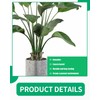 LOZTBUE 4 Piece Plant Stand, Plastic Stem Holder for Climbing