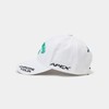 Callaway Men's Continuing Classic Cap Tour TW Cap JM/Hat Golf,