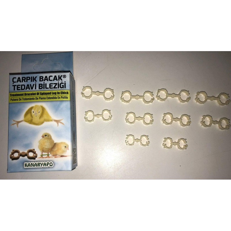 Fit Fly Chicken Chick Splayed Leg Treatment Bracelets