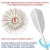 ShuttlePro T20 Badminton Shuttlecocks, 12 Pack, Goose Feather, Professional Training,