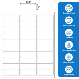 BESTEASY 30-up 100 Sheets 1" X 2-5/8" Address Shipping Labels for Laser and Inkjet Printers, FBA Product Labels (3000 Labels)