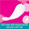 Cotton Feel Fresh 2 Pack | Scented | Normal Panty