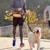 Drfeify Hands-Free Dog Lead, for Outdoor Jogging, Walking, Night Running,