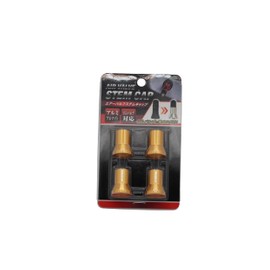HASEPRO AVS-1GLD Air Valve Stem Cap, Gold, Pack of 4