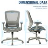 ELABEST Gas Lift Office Chair ELAMAX Gray Version, T96 Gas-Lift
