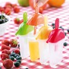 Rosenstein & Söhne Ice Cream Moulds: Mould for 8 Homemade