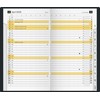 rido/idé Pocket Calendar Model M Planner 2026 | A6, Plastic,