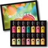 P&J Trading Fragrance Oil Summer Set | Candle Scents for