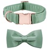 Lionet Paws Bowtie Dog Collar - Comfortable Silk Green Dog