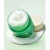 Essence Herb Essenhive Tea Tree Soothing In Calming Cream 80ml