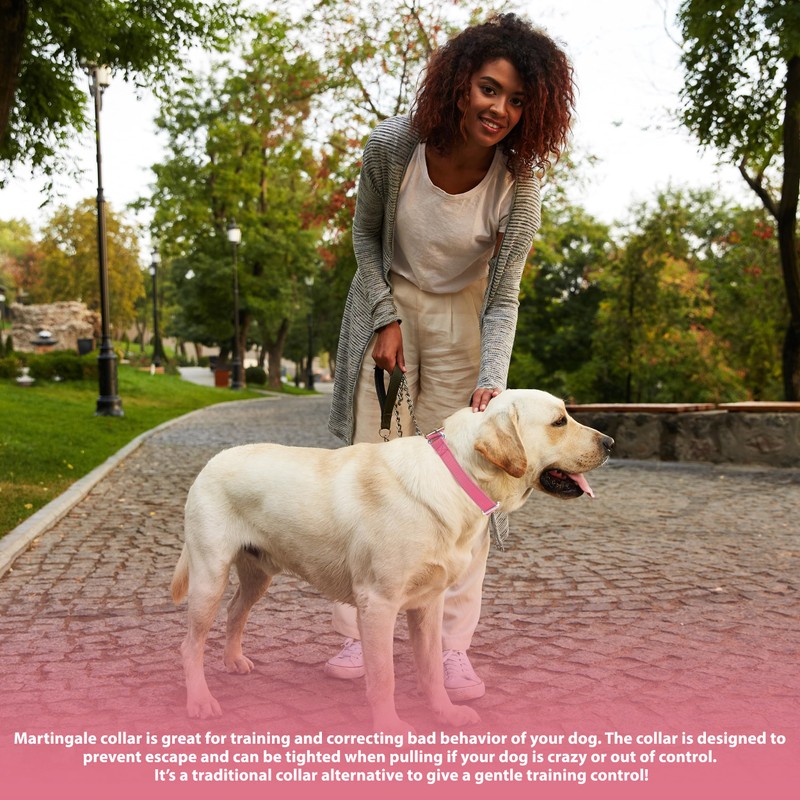 Seyezo Martingale Dog Collar, Slip Martingale Collar with No Buckle,