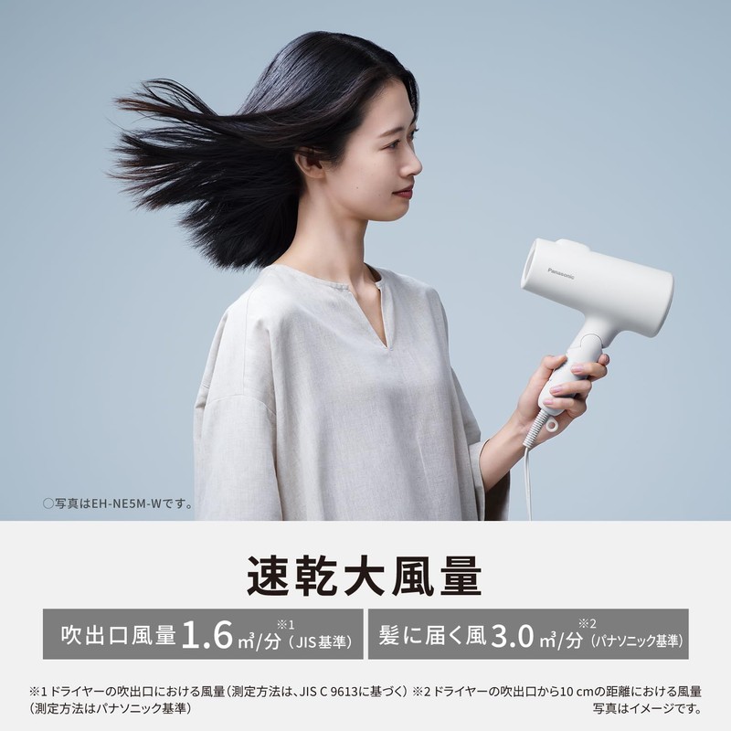 Panasonic Store Plus Model EH-NE5M-W Ionity Dryer, Negative Ion, Quick