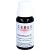 CERES Absinthium Mother Tincture 20 ml
