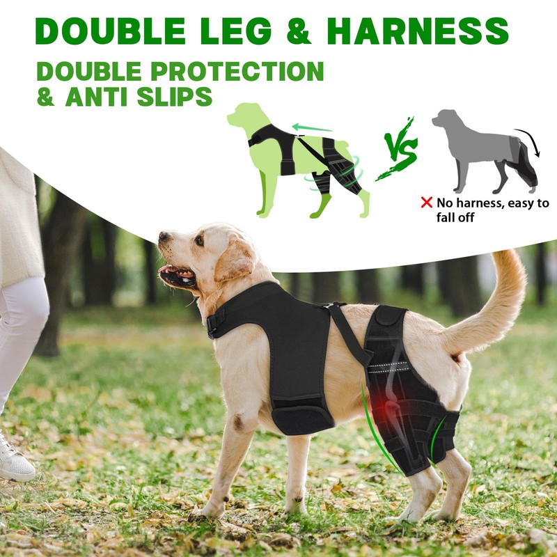 Marnonsis Dog Knee Brace for Torn Acl Hind Leg, Adjustable