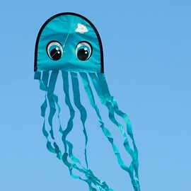 CIM octopus dragon – octopus draki advanced – single line for children aged 3 and above – dimensions: 25 x 160 cm - incl. Dragon Line, pacific