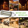 DragonLight 100W Commercial Grade Corn LED Light Bulb(700 Watt Equivalent)