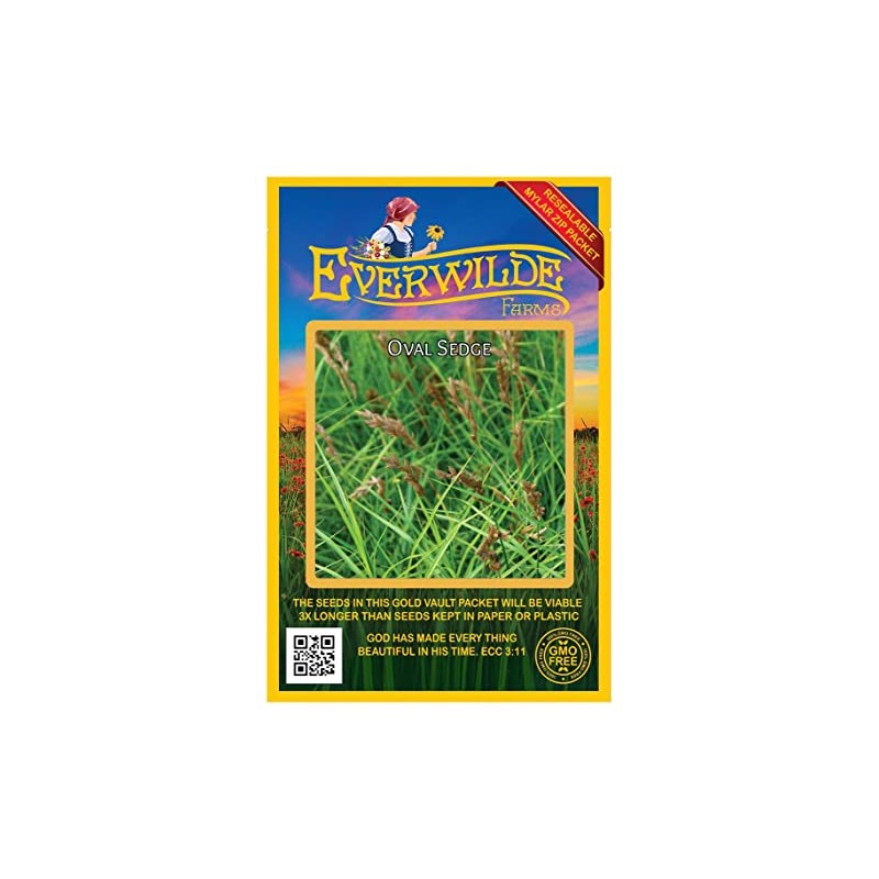 Everwilde Farms - 1000 Oval Sedge Native Grass Seeds -