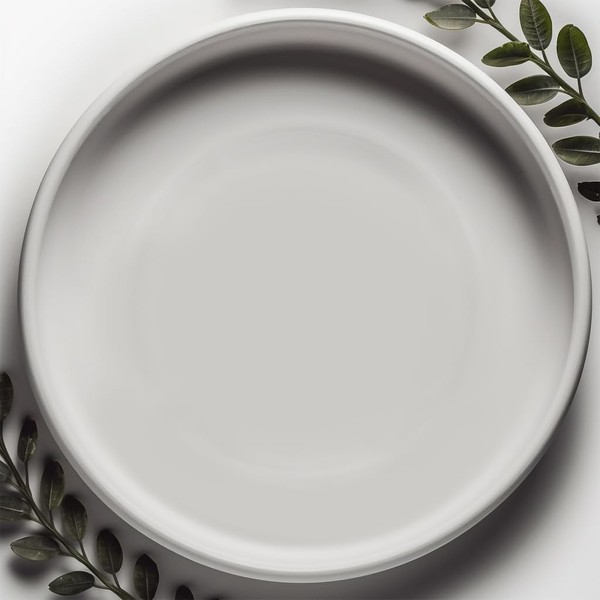 Willowy Matte White Ceramic Pot Saucer - Drainage Tray for