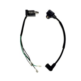 4-Wire Magneto W/Built-in CDI Ignition Coil for Harbor Freight Storm Cat 60338 69381 for Tail Gator 800 900W 63025 63024 for Pulsar PG1202S for ETQ950 1000 1200 Watts 2HP 2-Cycle 63cc 64cc Generator