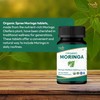 ORGANIC SPREE Moringa 120 Tablets | Moringa Oleifera (Drumstick Leaf)