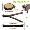 BNOSDM 6 Packs Wood Sugar Glider Toys Wooden Sugar Glider