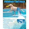 CuteBone Dog Swim Trunks Swimsuit Durable & Comfortable - Quick-Dry,