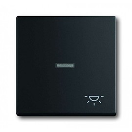 Busch-Jaeger 1789LI 885 Rocker