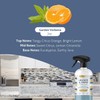 Therapy Granite Countertop Cleaner & Polish (2 Pack - With