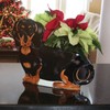 Pavilion Gift Company Macy-Dachshund-9.5" x 12" Dog Planter Vase, 12",