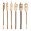 Amtech F1425 6 Piece Titanium Flat Wood bit Set