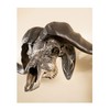 Skull Hooker Big Hooker Powder-Coated Steel Short Arm Trophy Mount