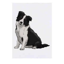 Azeeda 'Sitzender Border-Collie' Temporäres Tattoo - Hautfreundlicher & Ungiftiger Abziehbild · Wasserfest (TO00049168)
