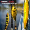 Robinson Fishing Lure for Large Predatory Fish - Jerkbait Wobbler,