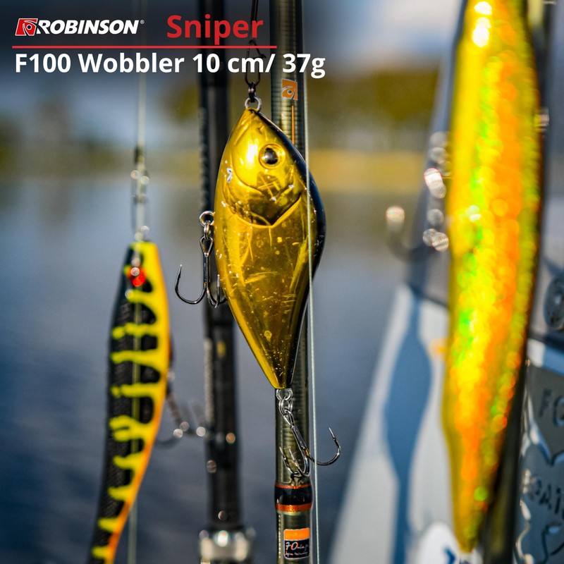 Robinson Fishing Lure for Large Predatory Fish - Jerkbait Wobbler,