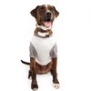 Reddy Grey Cooling Tonal Dog Tee, X-Large