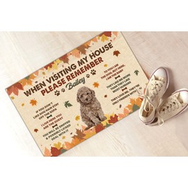 Funny Doormat Gift for Poodle Owners from Family Friends I Live Here You are The Guest Autumn Leaves Lovers Floor Non-Slip Doormats Home House Porch 16x24 Inch Patio