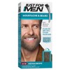 Just For Men Moustache & Beard Brush-In Colour Gel M-35