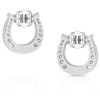 Montana Silversmiths Western Lifestyle Horseshoe Earrings (Destined Luck Turquoise Crystal)