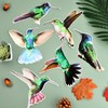 12 Pcs Fly Screen Magnets for Bird Impact Protection, Fly