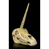 Figuren Shop GmbH Unicorn Fantasy Skull | Gothic Head Sculpture,