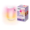 WiZ Connected Mobile Portable Light White