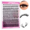 Lash Clusters Extensions 200pcs 30D Individual Cluster Lashes Mixed Tray